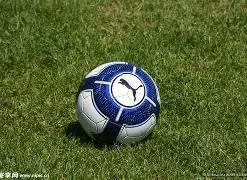 手游紧急加,补偿大放送,全服领两件,B体育官网,APP下载,注册领彩金,官方网站,网站入口