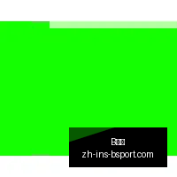 总决赛收官,战亮点布伦,分超乔丹,B体育官网,B体育App,B体育直播,B体育娱乐,B体育入口