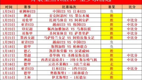 奥里萨邦羽毛球赛：中国选手组合战胜高永杰和洼纯佑组合