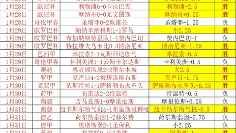 国家卫健委深入探讨心理健康维护秘诀